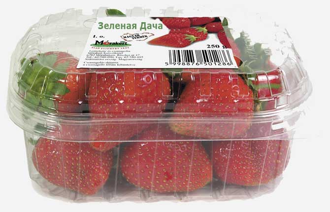 Бизнес план по клубнике.