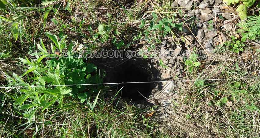 Ямы под столбы забора.