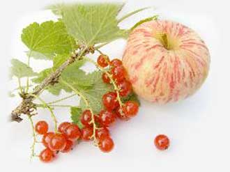 Яблоки и красная смородина.